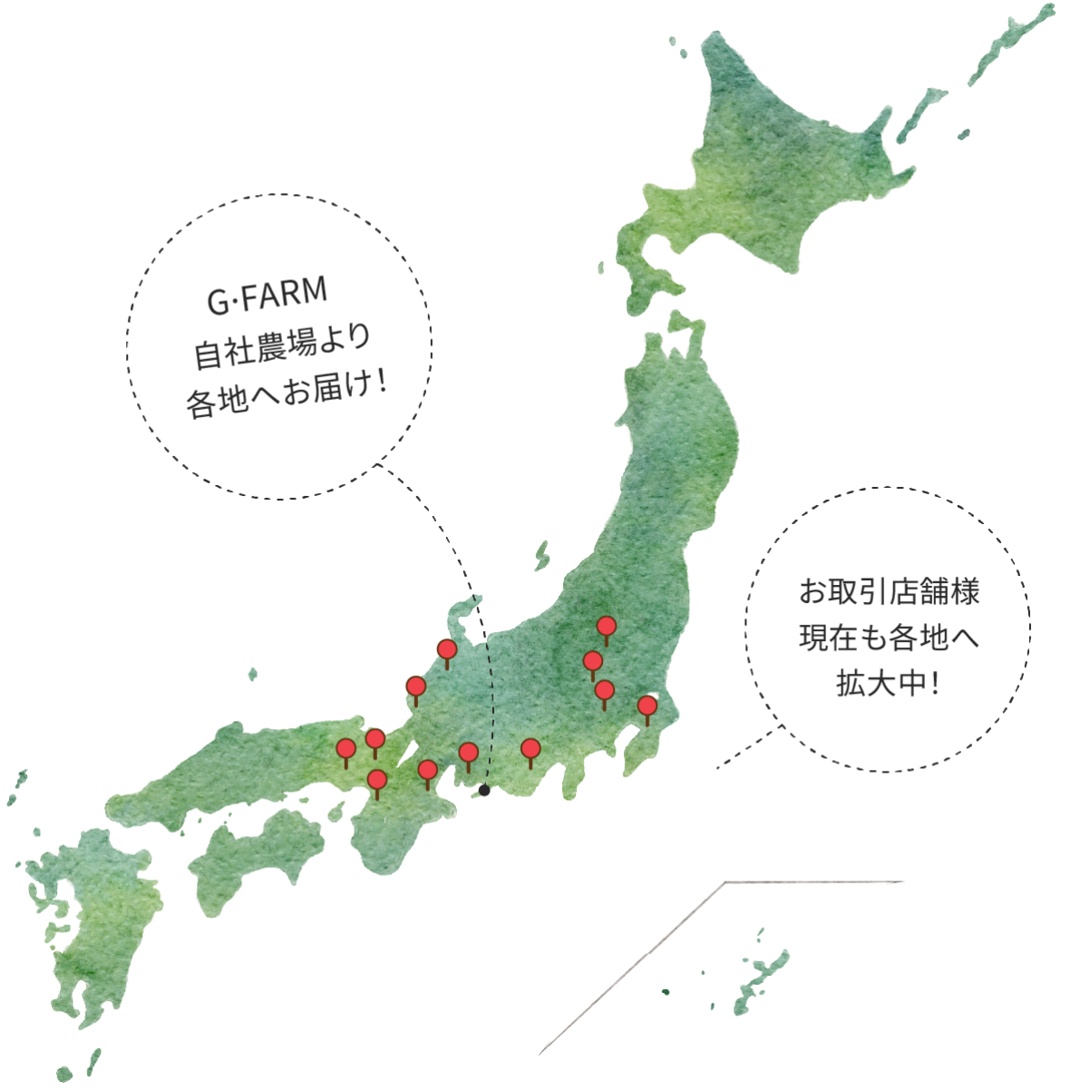 G・ファームの全国配送・お取引店舗エリアマップ（東京・名古屋・大阪など全国へ拡大中）