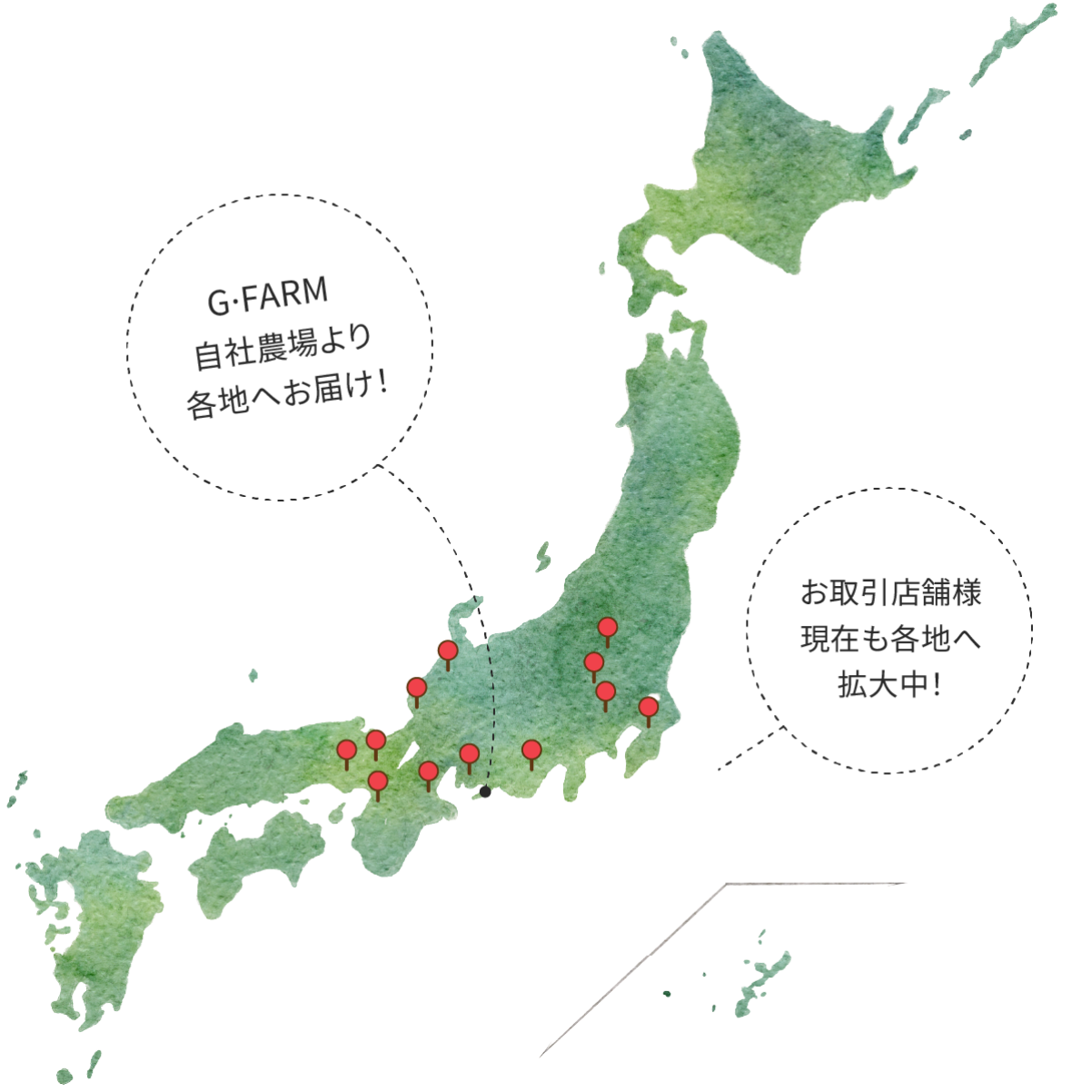 G・ファームの全国配送・お取引店舗エリアマップ（東京・名古屋・大阪など全国へ拡大中）